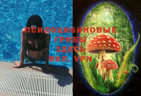 трава Абинск