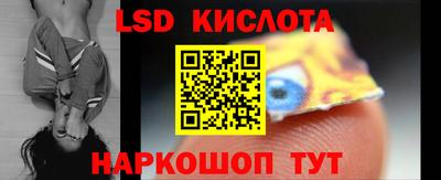 ПСИЛОЦИБИНОВЫЕ ГРИБЫ Кимры