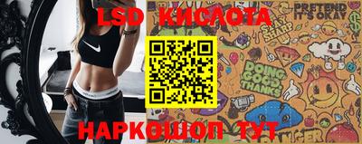 шишки Камышлов