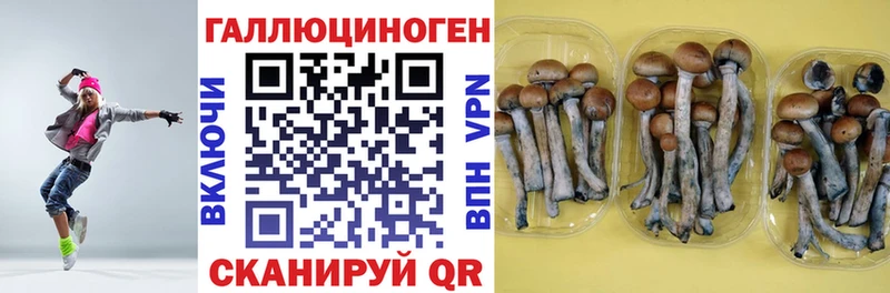 Псилоцибиновые грибы Psilocybine cubensis  купить   Гагарин 